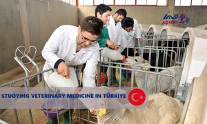 تحصیل رشته دامپزشکی در ترکیه
